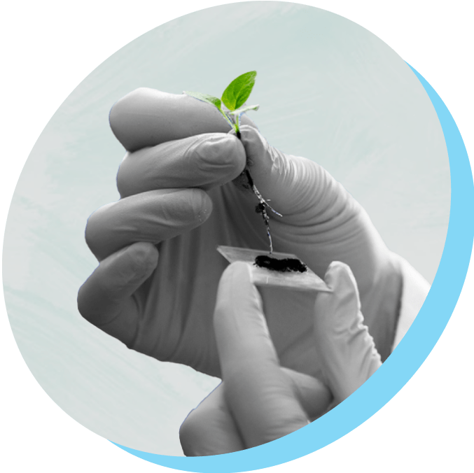 industrial speciality chemicals